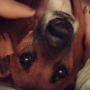 Meet your Posher, Thomas